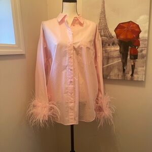 18W J. Crew Feather Sleeve Shirt pink